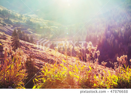 Mountains meadow Mountains meadow 47876688