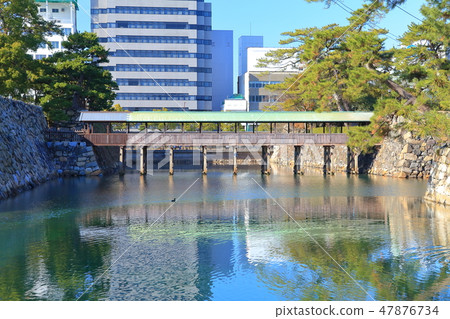 Tamaki公園殼橋樑 47876734