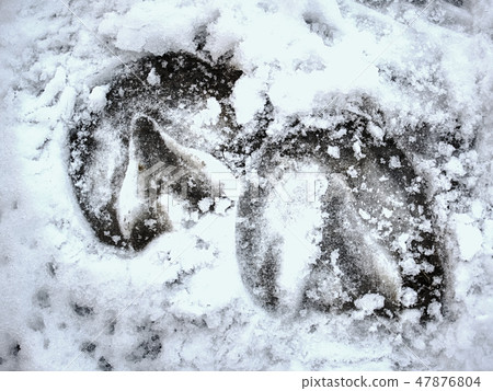 Piece of frozen snowy horse hoof footprint. Piece of frozen snowy horse hoof footprint. 47876804