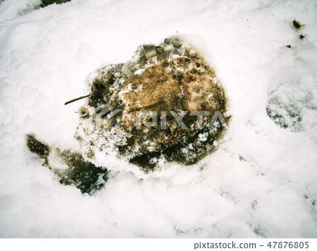 Piece of frozen snowy horse hoof footprint. Piece of frozen snowy horse hoof footprint. 47876805