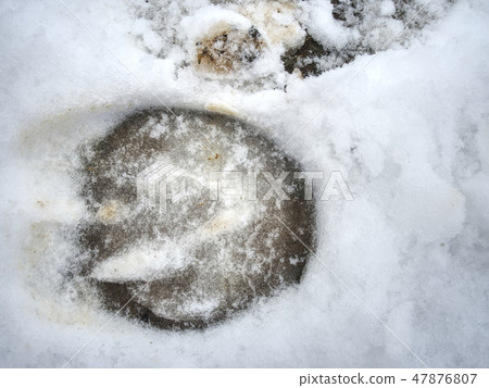 Horse hoof print from ice. 47876807