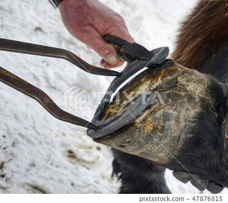 Smoking flaming hoof under hot horseshoe. Smoking flaming hoof under hot horseshoe. 47876815