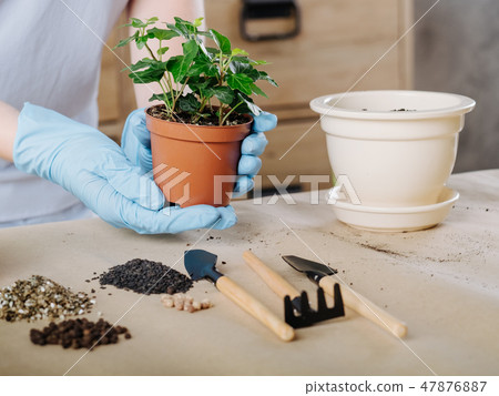 apartment gardening houseplant potting soil tools apartment gardening houseplant potting soil tools 47876887