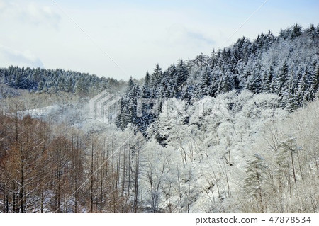 冬天的Omoto高速公路早上的Mt. 冬天的Omoto高速公路早上的Mt. 47878534