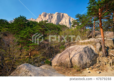 Ulsanbawi rock in Seoraksan National Park, South Korea 47879288