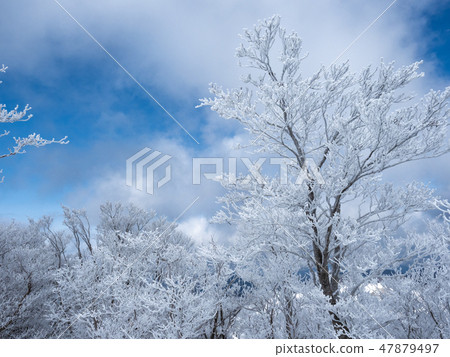 Shiga pref. Mt. 47879497