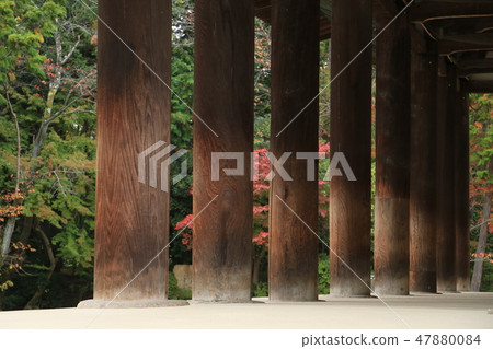 深秋Toshodaiji寺寧靜沉默 47880084