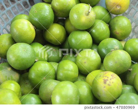 Fresh and green lemons background Fresh and green lemons background 47880969
