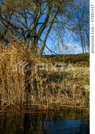Autumn landscape with colorful trees, grass, river 47881447