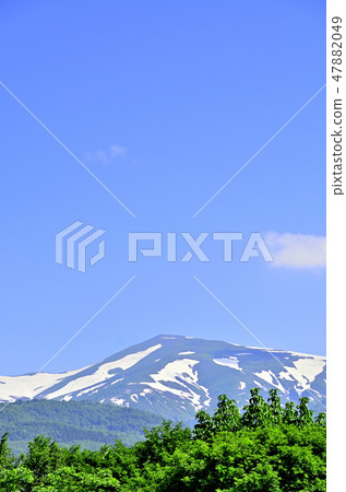 Tsukiyama snowfall and fresh green 47882049