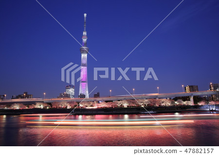 天空樹 47882157