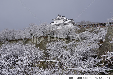Sakura's sight "Tsuruyama park (Tsuyama castle tower)" in Tsuyama city, Okayama prefecture: snowy landscape Sakura's sight "Tsuruyama park (Tsuyama castle tower)" in Tsuyama city, Okayama prefecture: snowy landscape 47882273
