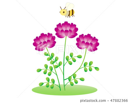 Round grass 5 47882366