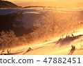 Shining snowy field 47882451