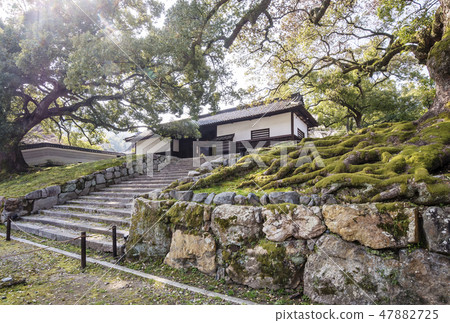 Kyoto Blue Lotus Bottom Line Kyoto Tourist Spot Popular Spot 47882725