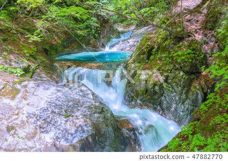 Fresh green Nishizawa Valley, Mie Waterfall [Yamanashi Prefecture] 47882770