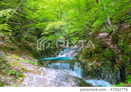 Fresh green Nishizawa Valley, Mie Waterfall [Yamanashi Prefecture] 47882776