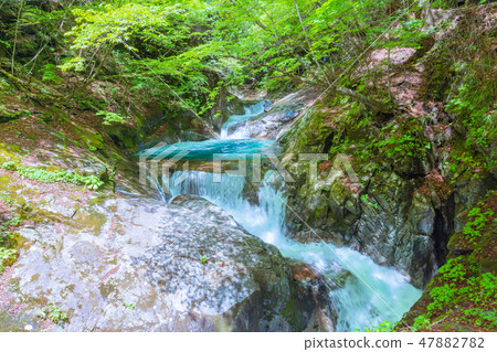 Fresh green Nishizawa Valley, Mie Waterfall [Yamanashi Prefecture] 47882782