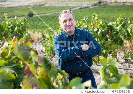 Elderly glad man standing on vineyard 47884108