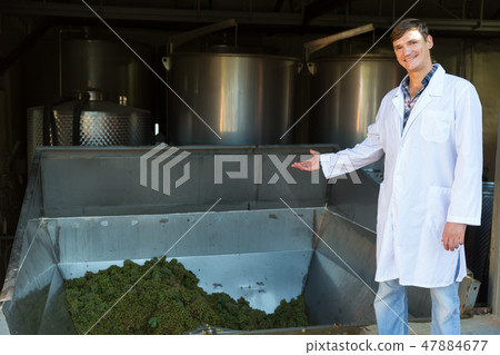 Male winemaker near grapes destemmer in winery 47884677