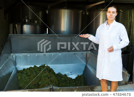 Female near grapes crusher machine in winery Female near grapes crusher machine in winery 47884678