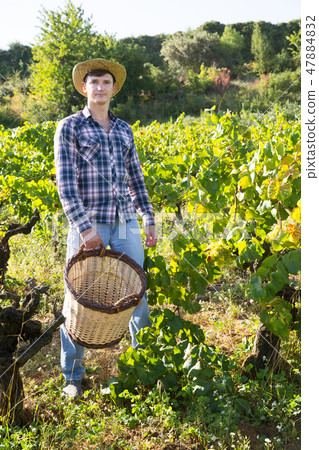 Male farmer n vineyard Male farmer n vineyard 47884832
