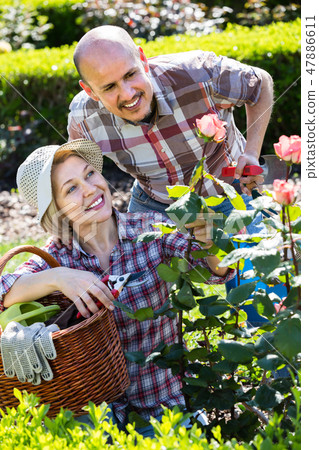 Senior couple working in the garden. 47886611