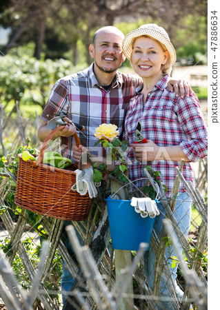Couple looking after flowers in the garden Couple looking after flowers in the garden 47886634
