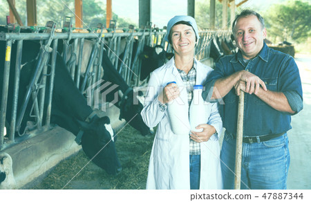 Smiling workers on cow farm 47887344