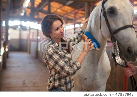 Woman farmer standing with white horse at stabling indoor 47887942