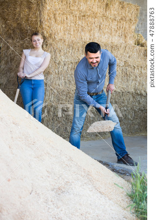 Man and woman in the barn. 47888763