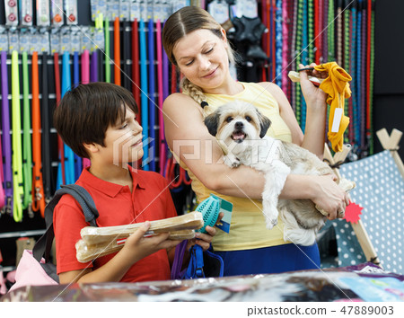 Happy woman with preteen son and little dog buying pet supplies Happy woman with preteen son and little dog buying pet supplies 47889003