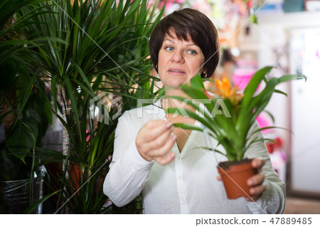 Customer choosing bromelia 47889485