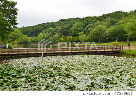 我去了北山公園#27 我去了北山公園#27 47889698