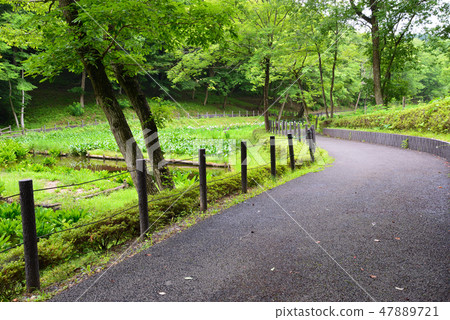 I went to Kitayama Park # 21 47889721
