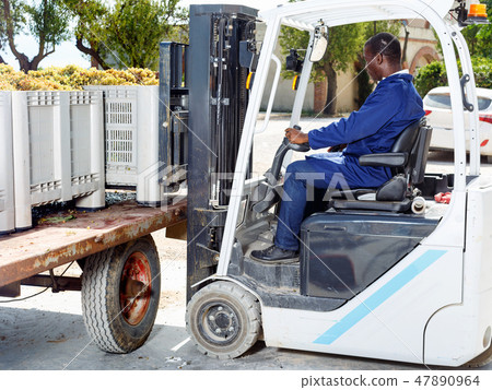 Male forklift driver unloading delivered grapes harvest from truck platform Male forklift driver unloading delivered grapes harvest from truck platform 47890964