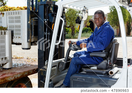Male forklift driver unloading delivered grapes harvest from truck platform Male forklift driver unloading delivered grapes harvest from truck platform 47890983