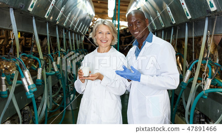 Veterinarians inspecting milk quality Veterinarians inspecting milk quality 47891466