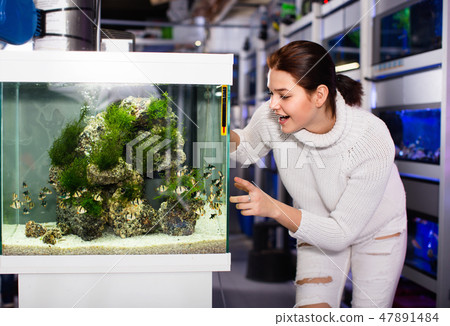 Girl looking at striped tropical fish in aquarium with rocks and seaweed inside Girl looking at striped tropical fish in aquarium with rocks and seaweed inside 47891484
