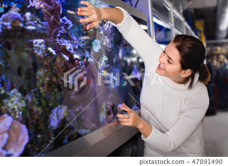 Girl in aquarium shop with interest looking at colorful fishes Girl in aquarium shop with interest looking at colorful fishes 47891490