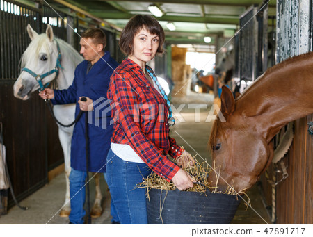 Worker spreading armfuls of hay at stable Worker spreading armfuls of hay at stable 47891717