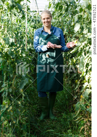 Portrait of woman worker in greenhouse Portrait of woman worker in greenhouse 47892521