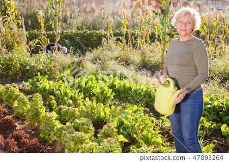 Woman posing with watering can in garden 47893264