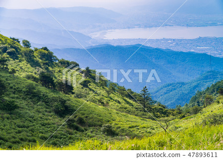 [長野縣]夏季從博基高原看的Su訪湖 47893611