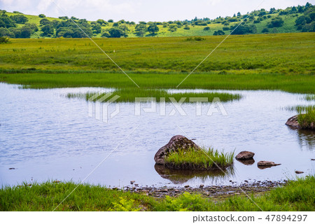 [長野縣] Kirigamine /山島沼澤的池塘 47894297