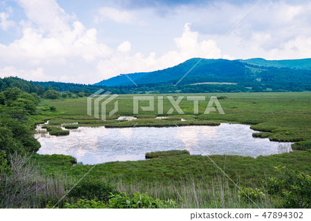 [Nagano Prefecture] Kirigamine/Yashima Marsh 47894302