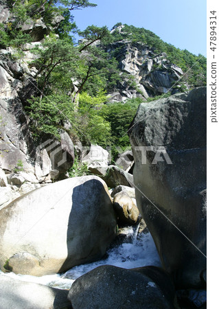 Shingen gori rocks 47894314