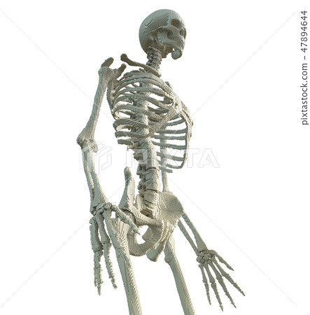 3d printed skeleton isolated 3d printed skeleton isolated 47894644
