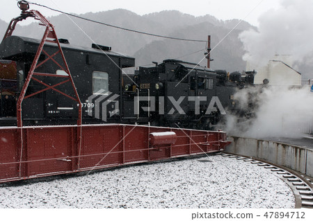 Snow and SL big tree Snow and SL big tree 47894712