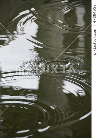 水環 水環 47894955